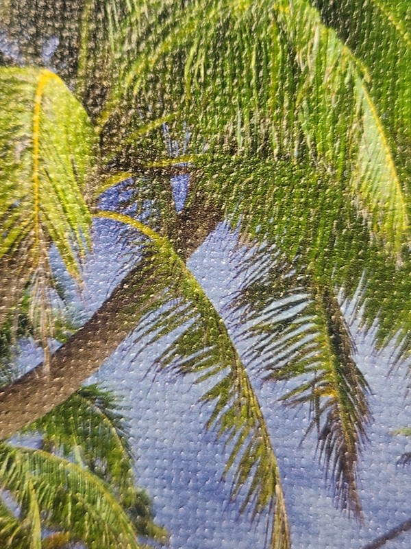 SET of 2 Shutter Palm Tree Canvas Art Prints Distant & Caribbean Dreams Cavanah gallery