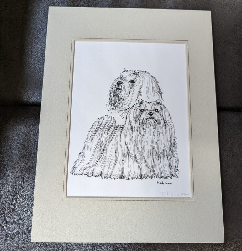 Cindy Farmer Maltese Series Numbered Pen &Ink Signed Print 8″x6″ matted 12″x 9″