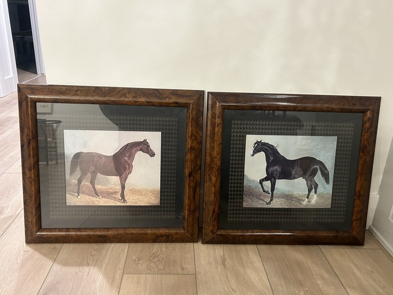 Thoroughbred Horse Print Framed matted 20.75″w X 18.75″ H – Black & Brown Horse