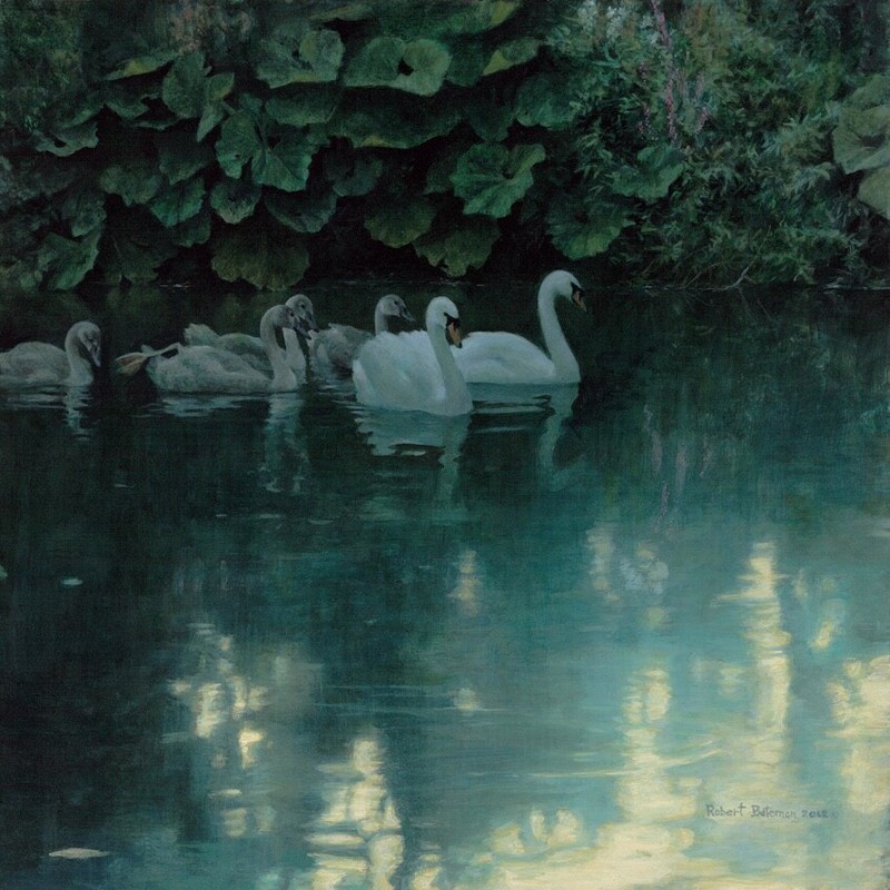 Robert BATEMAN Great Dunford Mute Swans Art Signed Print LTD Collectible Rare