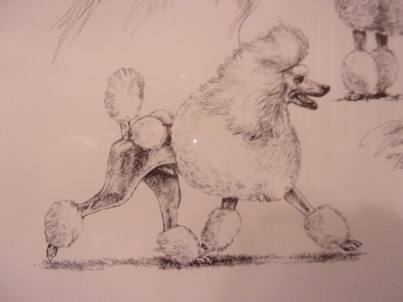 Poodle Variety Print - Lyn St. Clair Stubbs - SIGNED/Numbered/Cust.Framed - Mint gallery