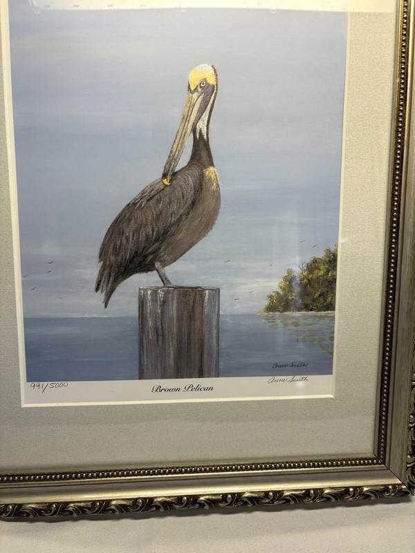 Limited Edition “Brown Pelican”991/5000 By Artist Anne Smith