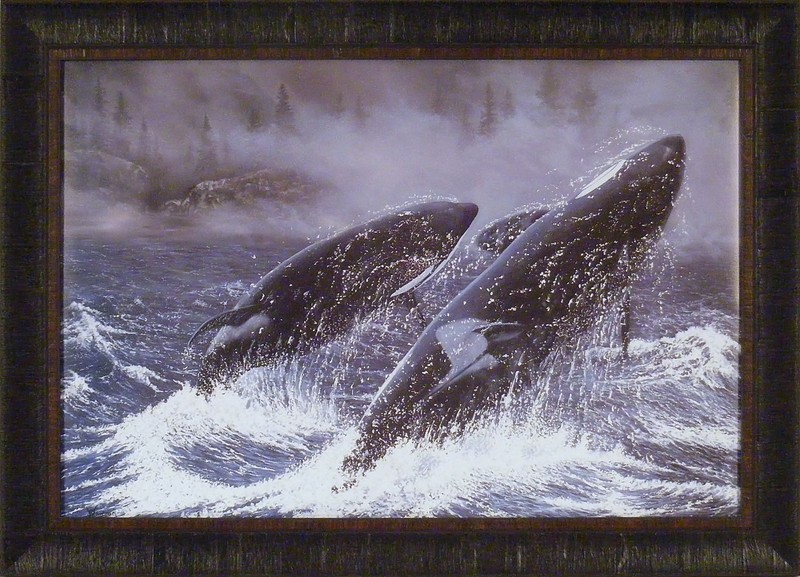 JUST FOR THE JOY OF IT – ORCA by Ray Whitson 24×33 Killer Whales FRAMED ART