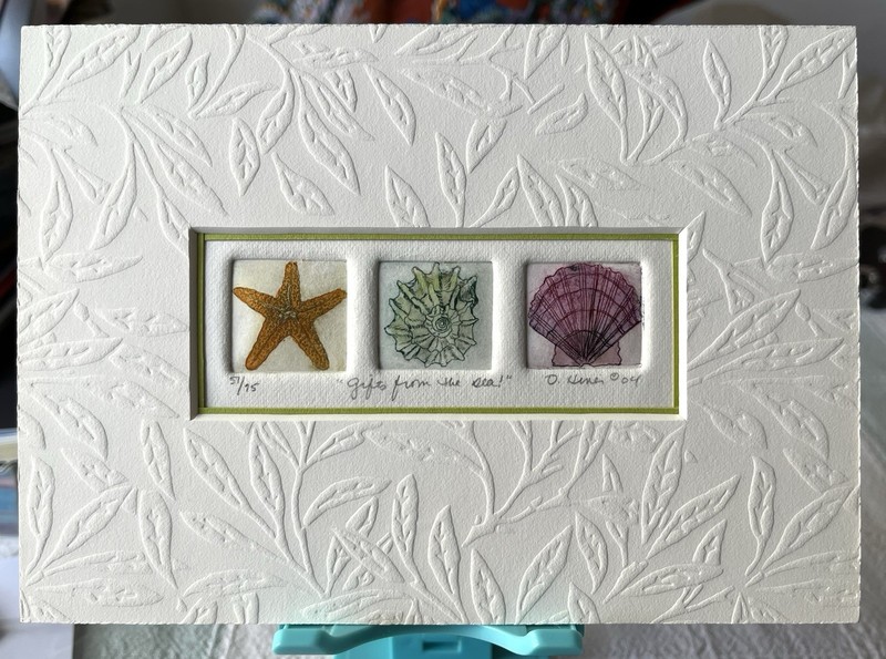 Original Hand Colored Etching Of Three Separate Shells