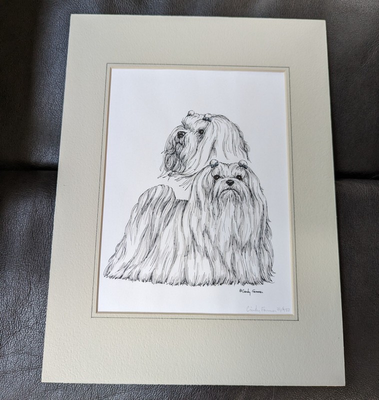Cindy Farmer Maltese Series Numbered Pen &Ink Signed Print 8"x6" matted 12"x 9" gallery