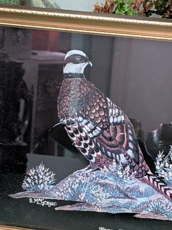 Vintage Reeves Pheasant Framed Wildlife Art Print S. McGregor 1970s 1980s Retro gallery