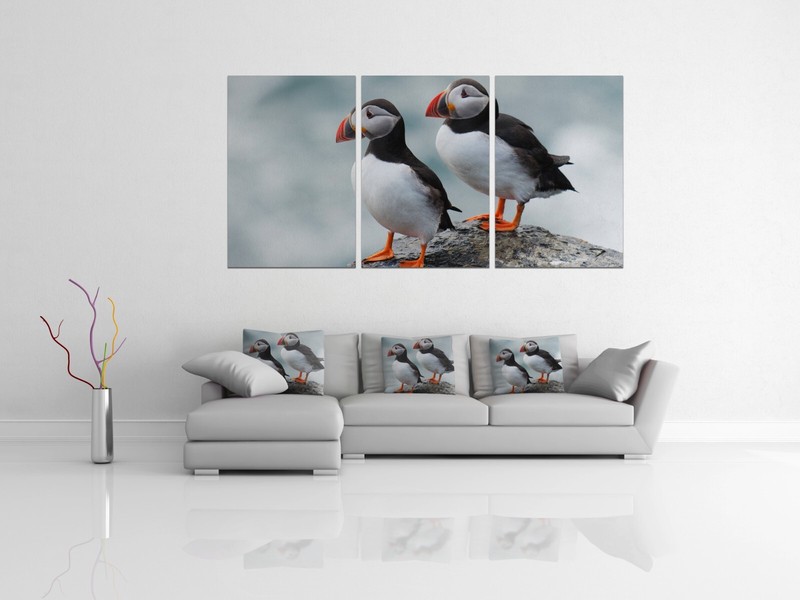 Atlantic puffins pair of exotic bird 3 Piece Panel aluminum metal print. pillows gallery