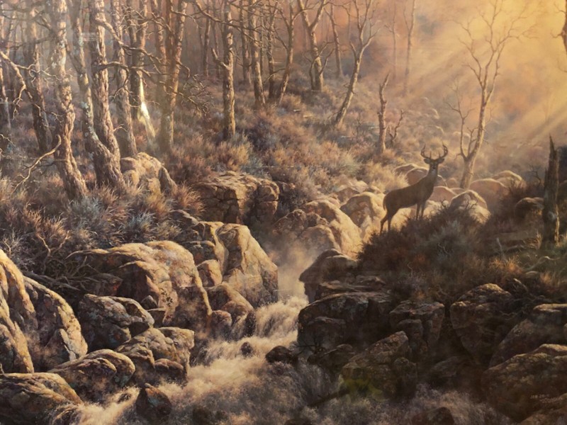 Larry Dyke certified print «Reaviling Light » 19×24 signed 227/1000