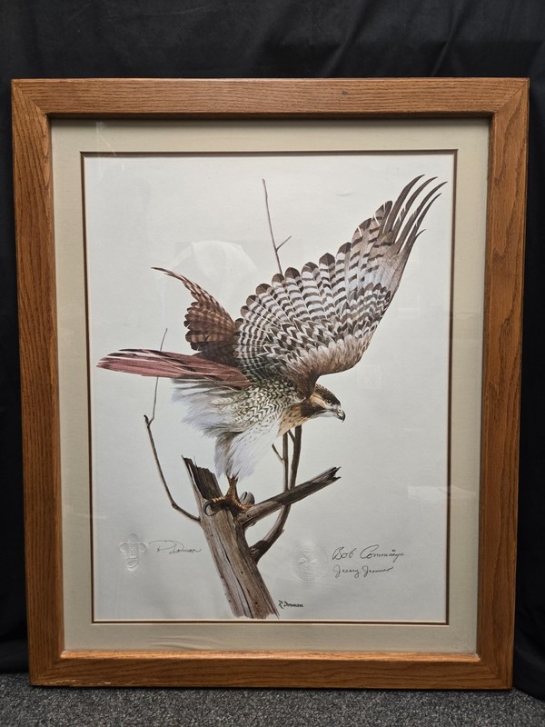 R. Dorman «Red Tailed Hawk» Print, Signed by Coach Bob Cummings & Jersey Jerman