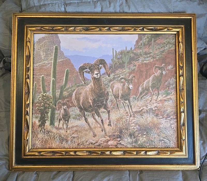 Tom Beecham Desert Bighorn Sheep Lithograph Framed 85257 Desert Saguaro Cactus