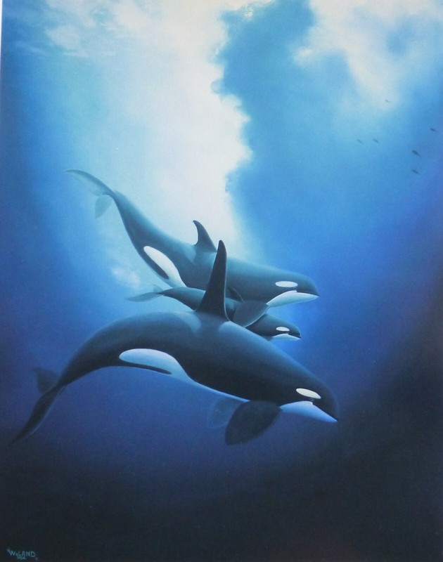 Wyland Studios Orca Trio Killer Whale 1984 Vintage ocean calf orcas family art