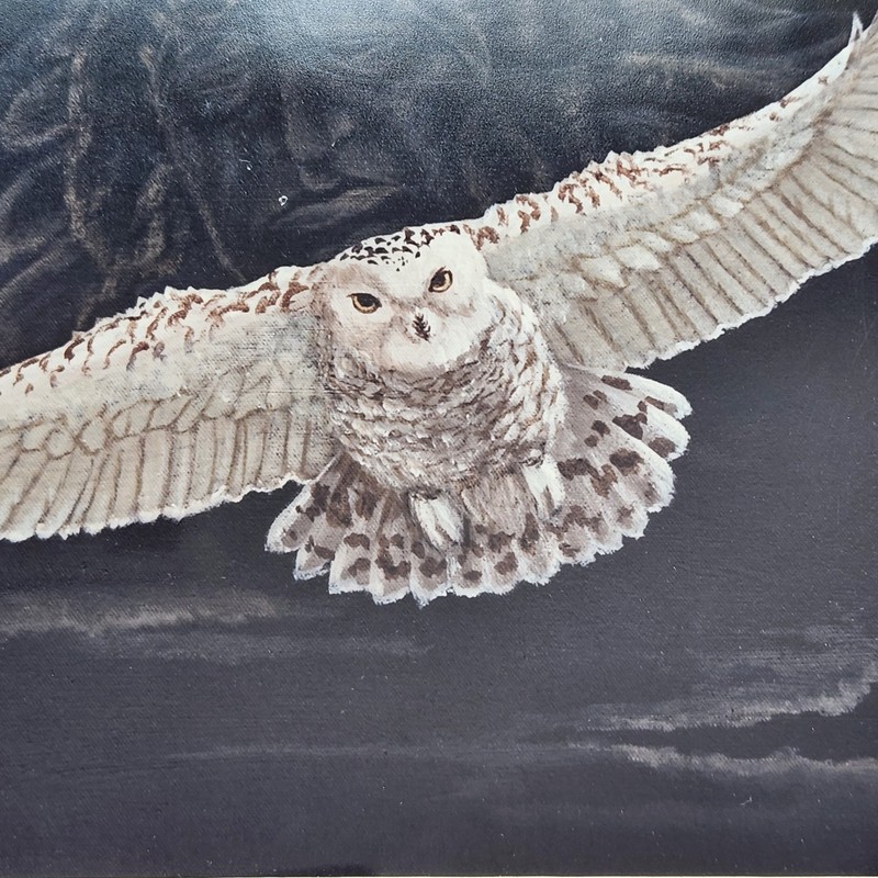 Marguerite Fields NIGHT HUNT Owl Soaring Native American Spirit Art Print SEALED gallery