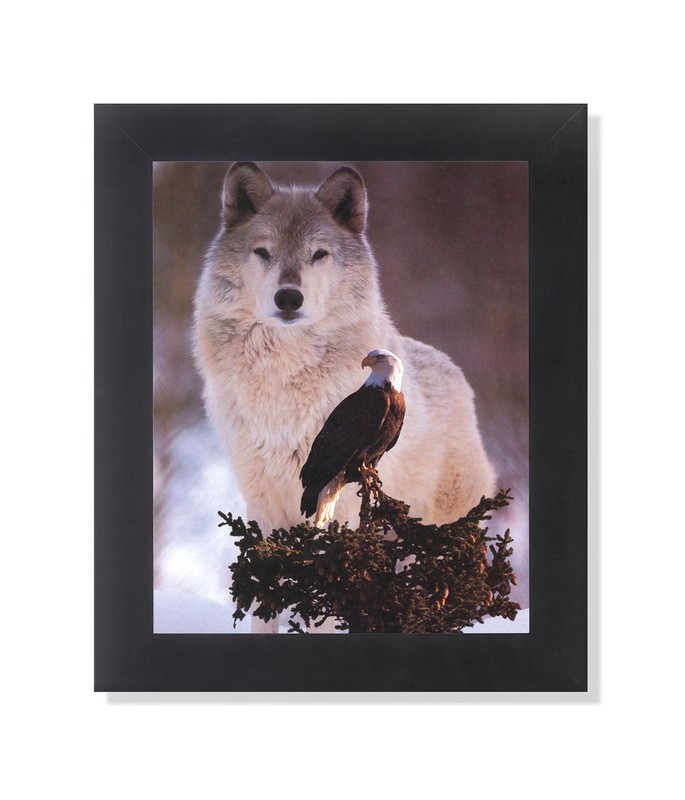 American Bald Eagle Bird with Gray Wolf Photo Wall Picture Black Framed