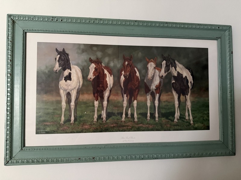 Pint Sized Paints Horse Foals #133/450 Framed Signed Print by Chris Cummings