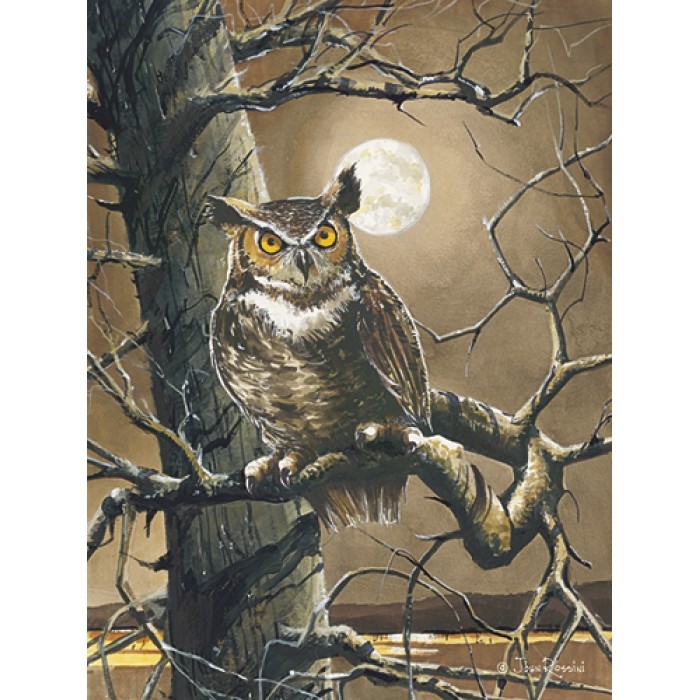 John Rossini Sentinel Owl Full Moon Art Print 12 x 16