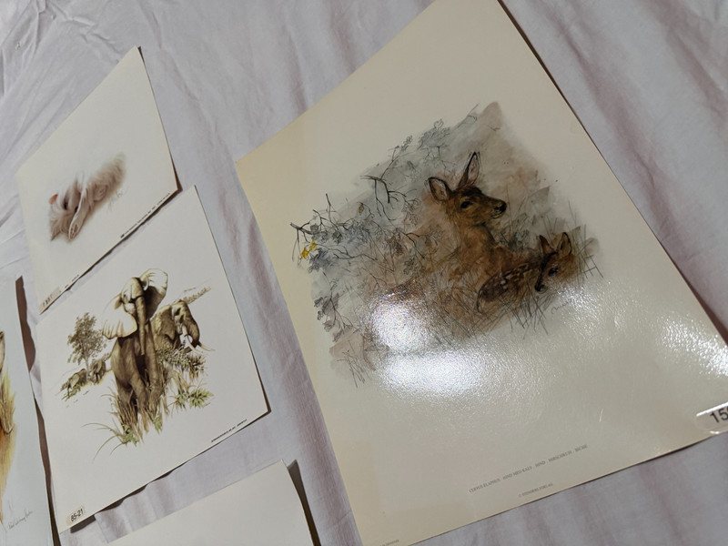Vintage Lot of 6 Laminated Art Prints 1970s 80s Classroom Pets Animals Harrison gallery