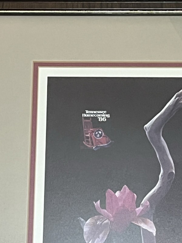 Tennessee Homecoming 1986 86 Framed Print Mocking Bird Tennessee Symbols gallery