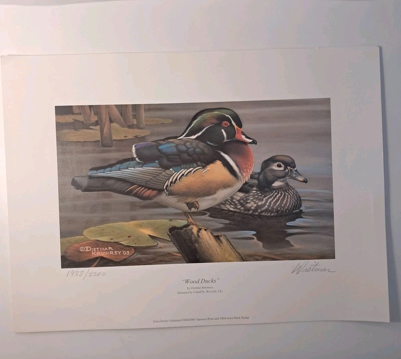 2004 Iowa Ducks Unlimited «Wood Ducks» Signed & Numbered By Dietmar 6.5 X 11″