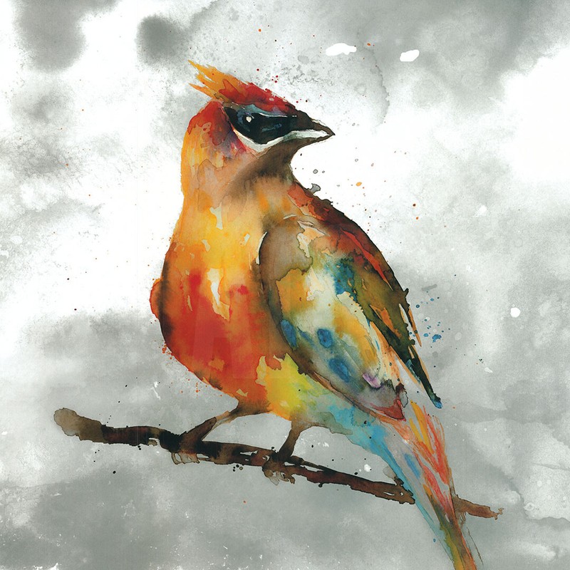 CARDINAL (18×18) BLUE JAY (18×18) by STEPHANE FONTAINE 2PC SET CHOICES of CANVAS