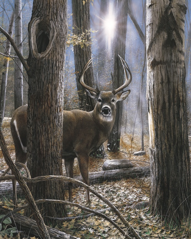 DEER ART PRINT – Woodland Sentry by Kevin Daniel – 22×18 Antlers Wildlife Poster