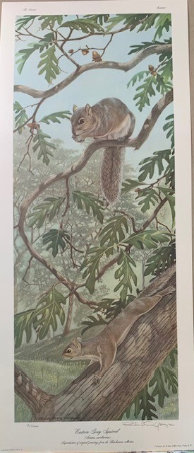 The Seasons Small Animals Prints By Richard Younger 4 Print Set Extraordinary