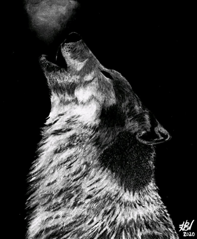 «Bark At the Moon» Giclee 11 × 14in Card Stock Photo Print Signed by HEW!!! 🐺
