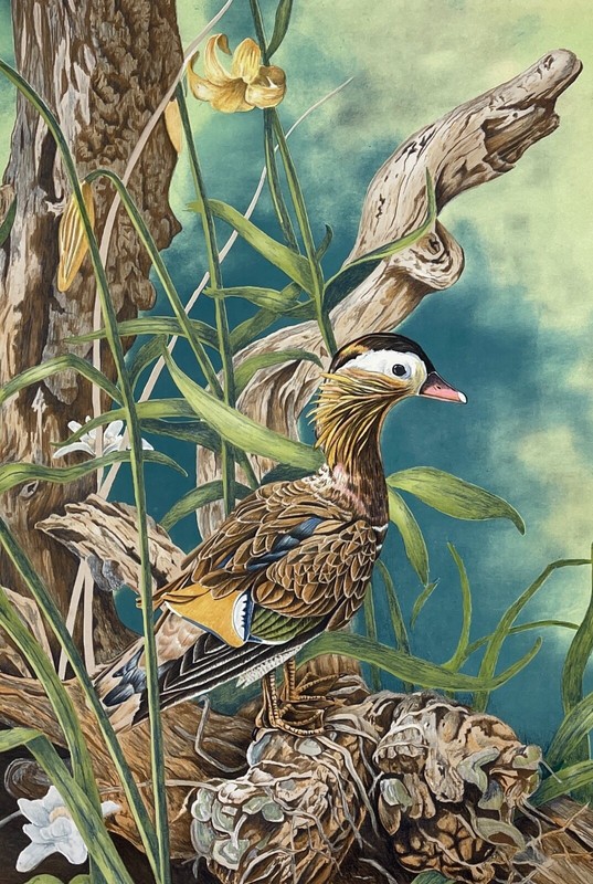 BUDDEN, Michael - 'MANDARIN DUCK'- HC 1/12- Fine Art Lithograph- Print- Vtg-New! gallery