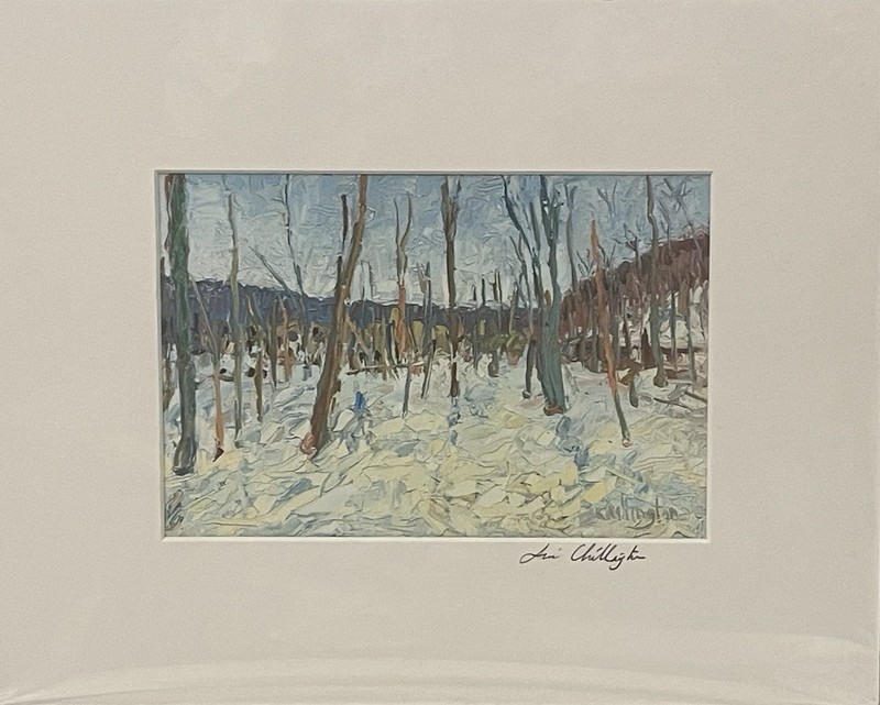 Trees In The Winter