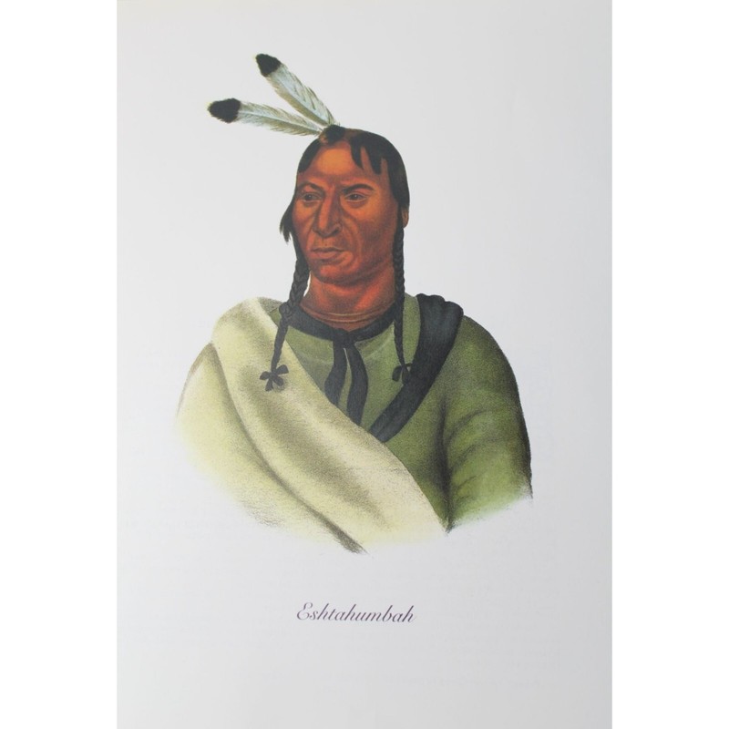 American Indian Print Eshtahumbah Sioux Chief Vintage 89654 Sleepy Eyes