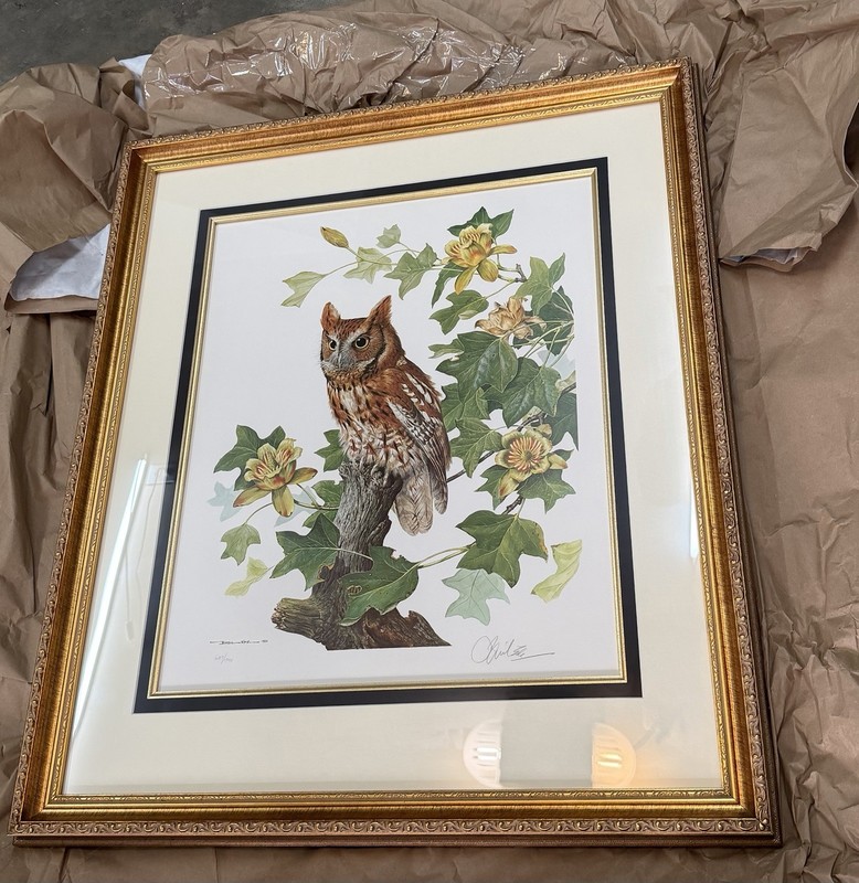Limited edition by the renowned Basil Ede (1931–2016), titled "Screech Owl".