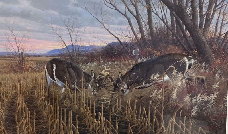 Michael Sieve Battling Bulls Whitetail Deer S/N Art Print 27.5 x 17 #7 of 1999