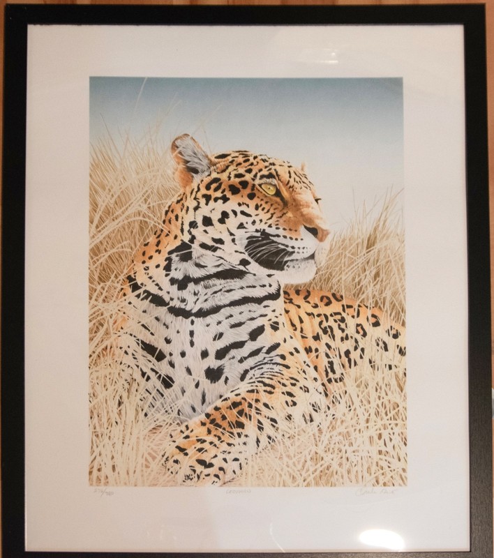 Framed lithograph «Leopard» Sign by artist Charles Rowe 20 x 26 issue 278/380