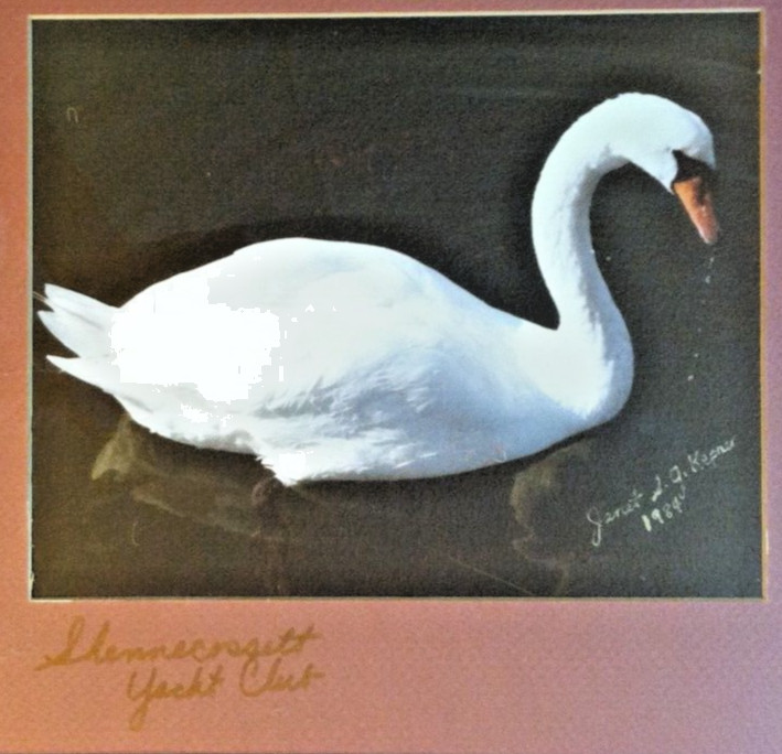 1984 🔥MUTE SWAN🔥 Artist Signed Janet Sumner Grainger Kepner Painting Local Art