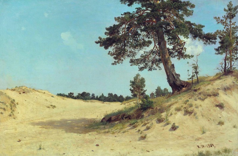 Ivan Shishkin Pine Tree in the Sand 1884 Russian Badlands Fine Art Print 17″x22″