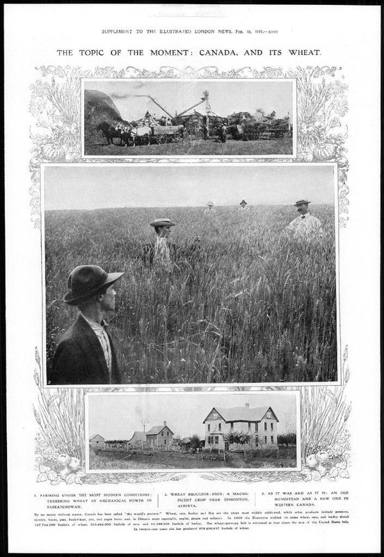 1911 Antique Print - CANADA Saskatchewan Wheat Edmonton Alberta Farming (267)