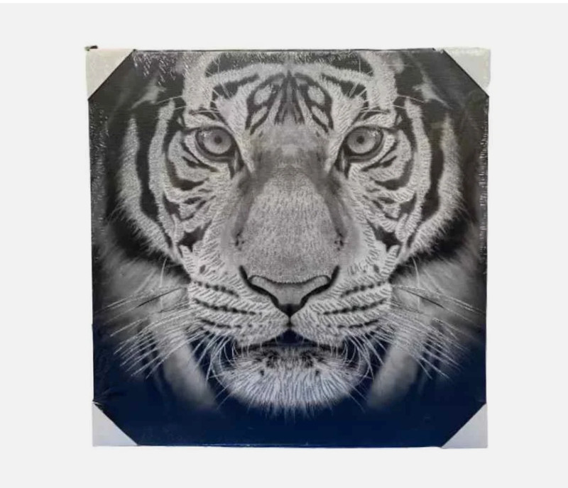 Glitter Canvas Lion/Elephant/Tiger Wall Art Home Decor 50cm Black White Grey gallery