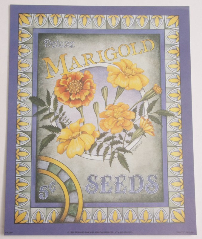 Marigold Seeds 5c Yellow Blue – 8×10″ – 1998 Bernard Printed USA – NEW