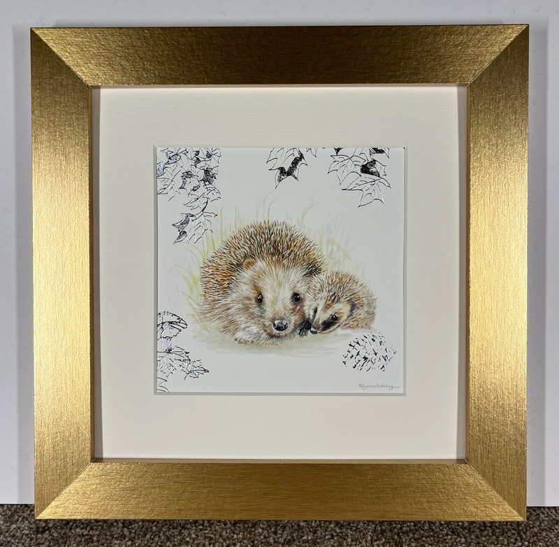 Hedgehog Framed Print by Pollyanna Pickering 10″ x 10″ / 25.5 x 25.5 cm