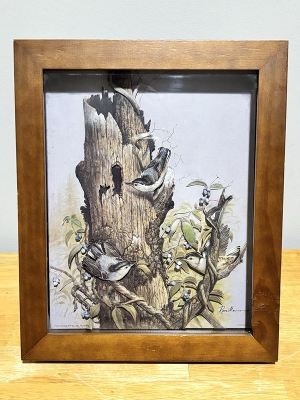 VINTAGE Birds Inquisitive Beauty Art Print Tole 3D Shadow Box Ruane Manning ￼