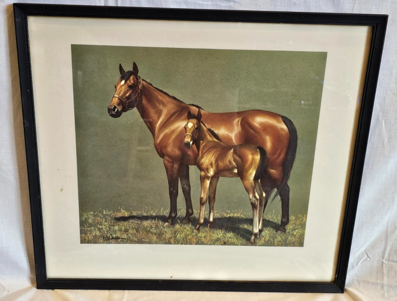 Vtg MCM🔥Horse and Foal Print by CW Anderson. 1950s Framed FREE S&H