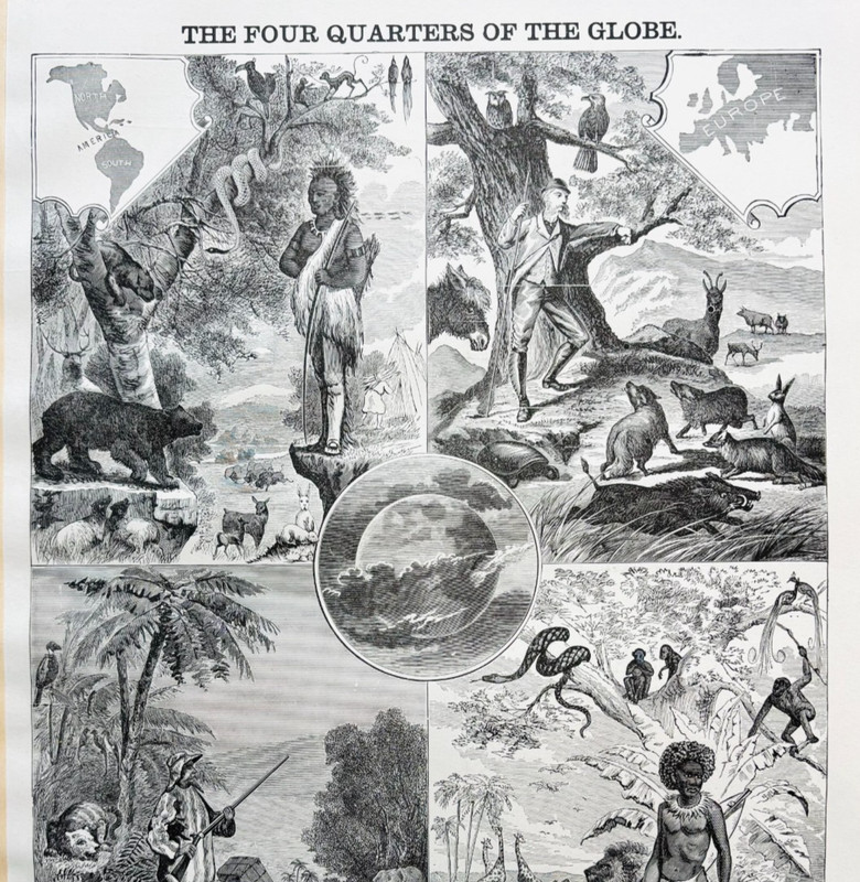 1895 Four Quarters Of The Globe Wood Engraving Victorian Natural History E1