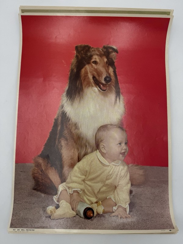 Lot 15 Vintage Litho In USA Posters Family | Wilderness | Dogs EUC See Pics gallery
