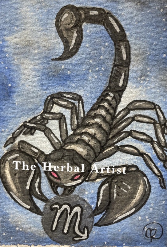 Artist Collection Watercolor Painting PRINT, Astrology, Zodiac Horoscope Scorpio