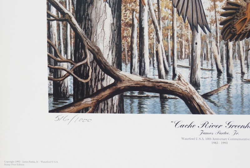 JAMES PARTEE JR. WATERFOWL ART, CACHE RIVER GREENHEADS 12x15 L/E S/N LITHOGRAPH gallery