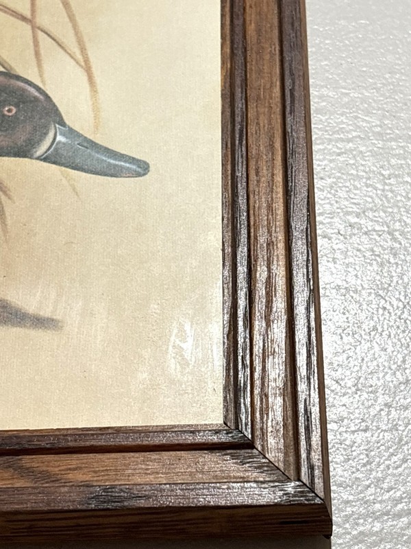 Carol J Latta Framed Duck Print Mallard Waterfowl Wildlife Art Rustic Wood Frame gallery