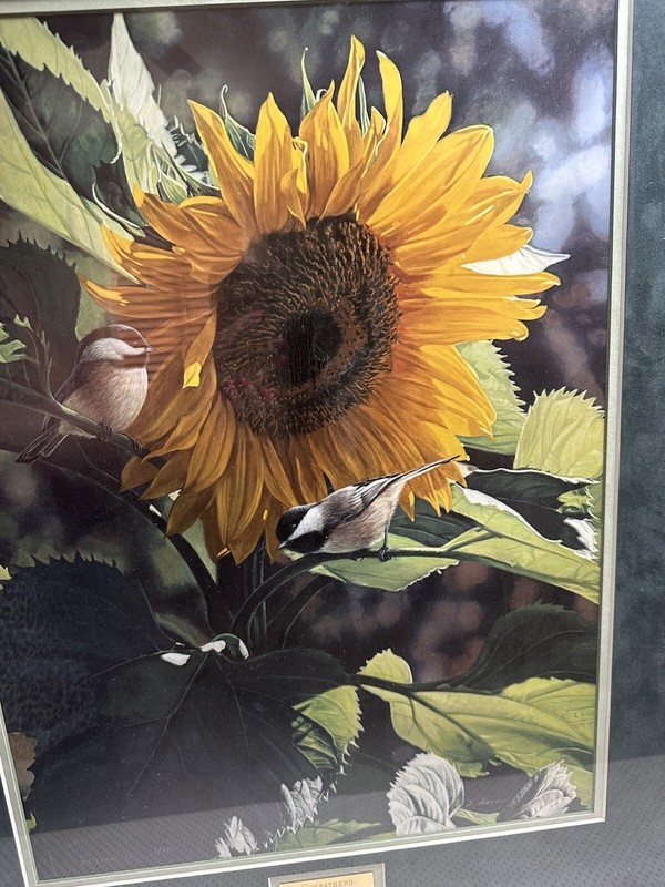 Framed/Matted print of "Sunbathers" by Terry Issac 14x20 image (25x30 frame) gallery