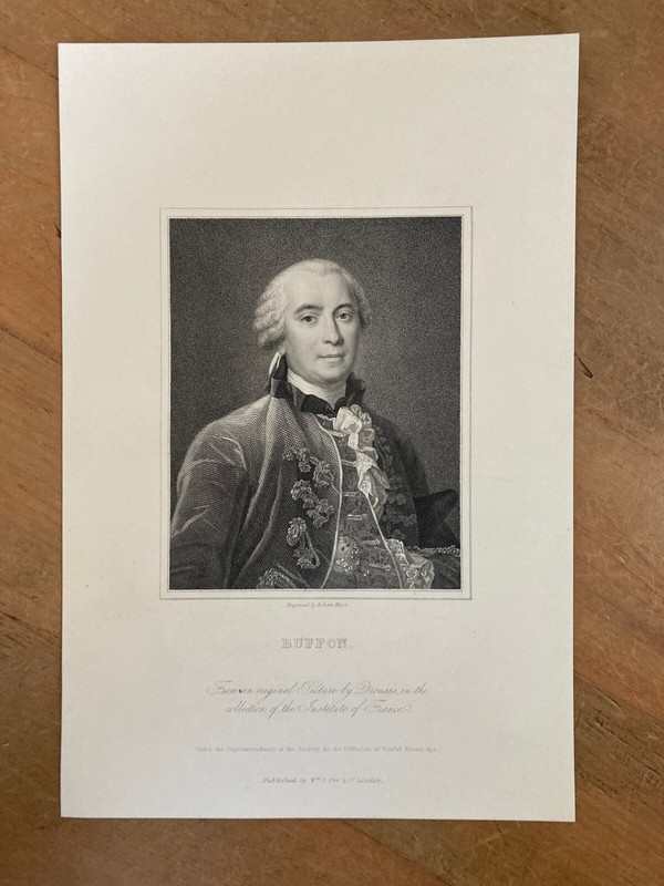 Georges-Louis Leclerc, Comte de Buffon Litho Art Print – Perfect for Framing
