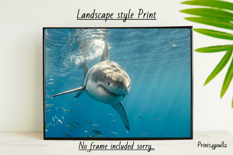 GREAT WHITE SHARK A4 PRINT PICTURE POSTER WALL ART HOME DECOR UNFRAMED GIFT