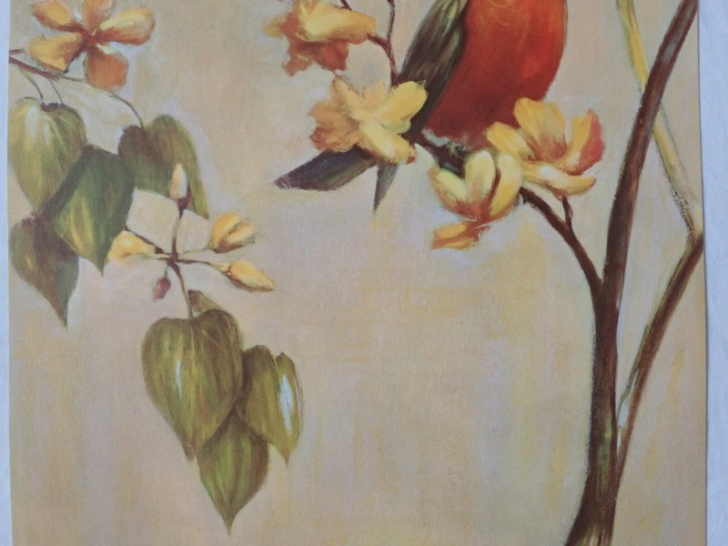 VINTAGE RF HARNETT ROBIN BIRDS LITHOGRAPH WALL ART PRINT KAPLAN CO 36" x 12" gallery