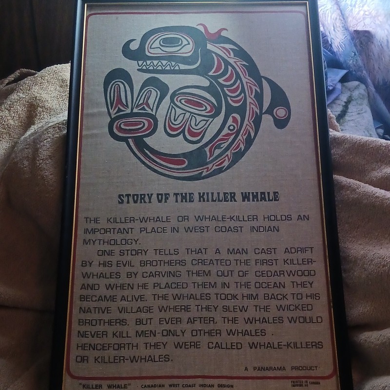 Story of the Killer Whale Framed Print West Coast Indian Design Canadian Art